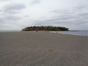 DSC08561