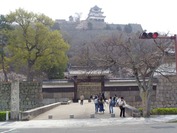 DSC08970