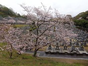 DSC09015