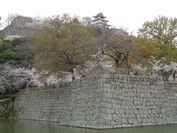 DSC09118