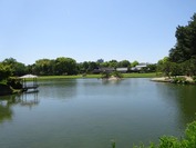 DSC08641