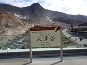 D-DSC08277 (1)