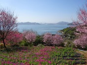 DSC07797