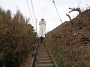 DSC08590