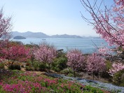 DSC07800