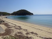DSC07951