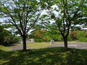 J-DSC09643 (3)