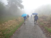 DSC09210