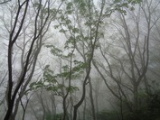 DSC09281