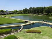 DSC08650