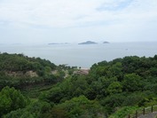DSC2025-02472 (11)