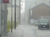 DSC2023-F0264