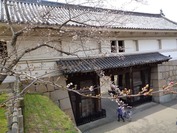 DSC08959