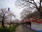 DSC08954