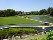 DSC08647