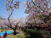 DSC09050