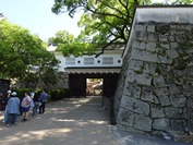 DSC08703