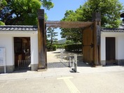 DSC08619