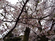 DSC09008