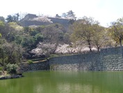 DSC09064