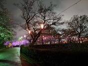 20260401_192241