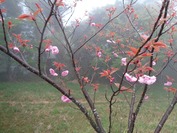 DSC09213