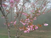 DSC09221