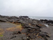 DSC08659
