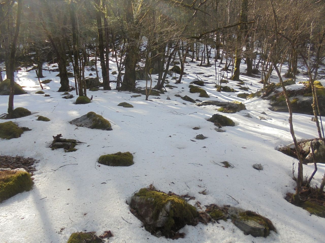 雪の庭園 ある田舎のオッサンのブログ 雪の庭園 ある田舎のオッサンのブログ