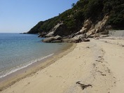 DSC07953