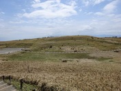FDSC08144