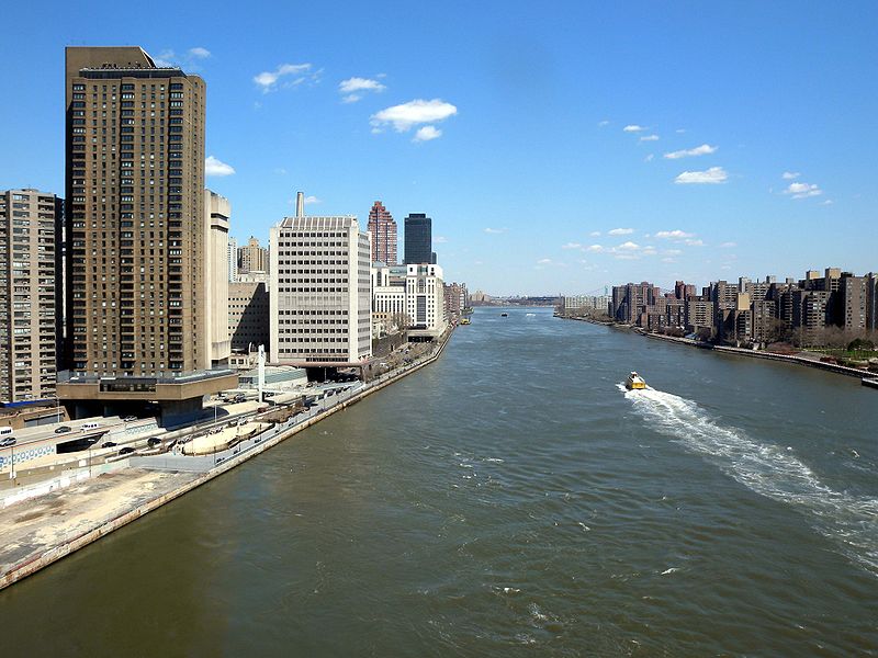 川の流れのように の 川 Hello From New York