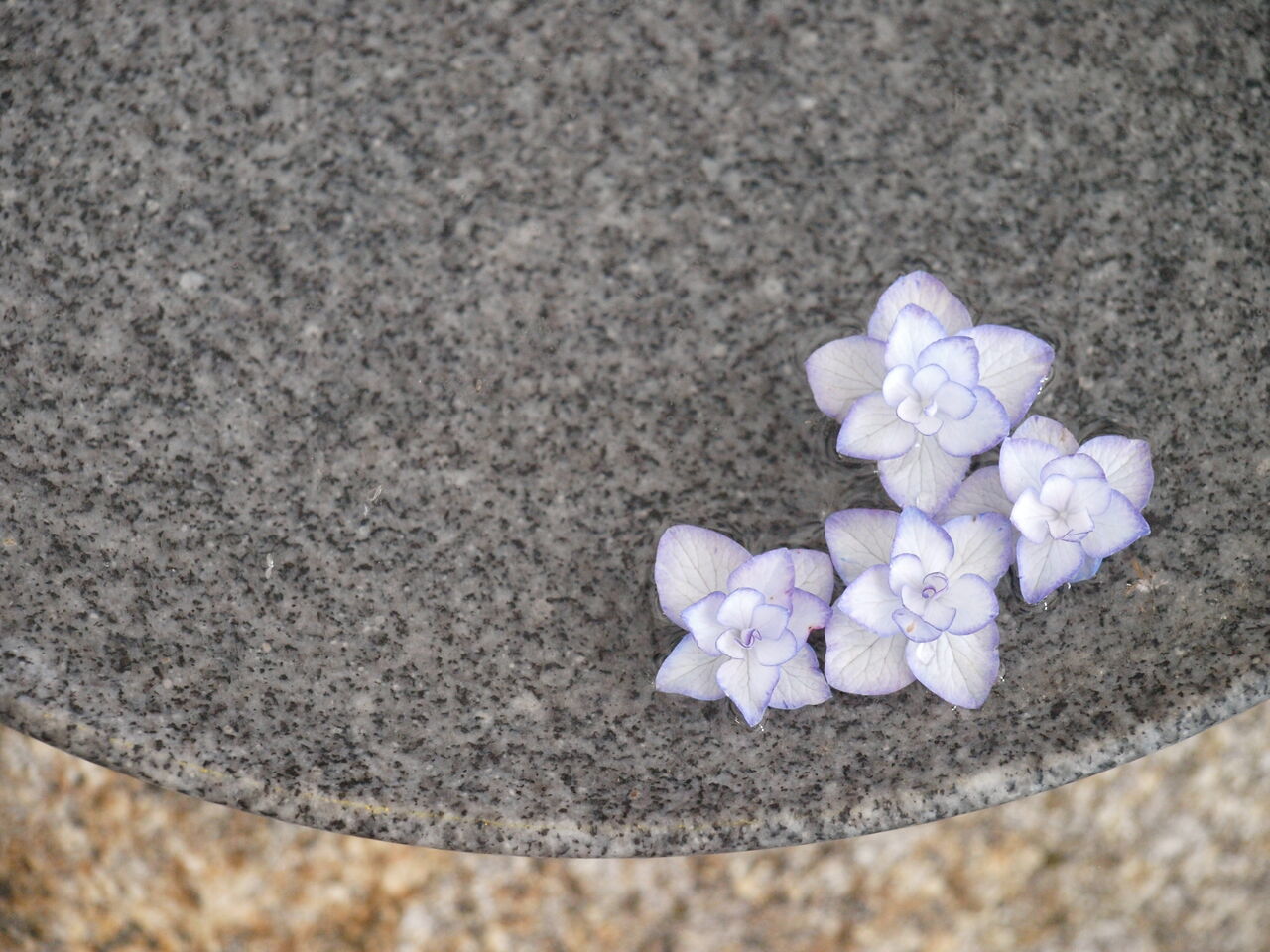 五感で涼しさを演出｜蹲（つくばい）の使い方 : 岡崎市 老舗石屋㈱杉田