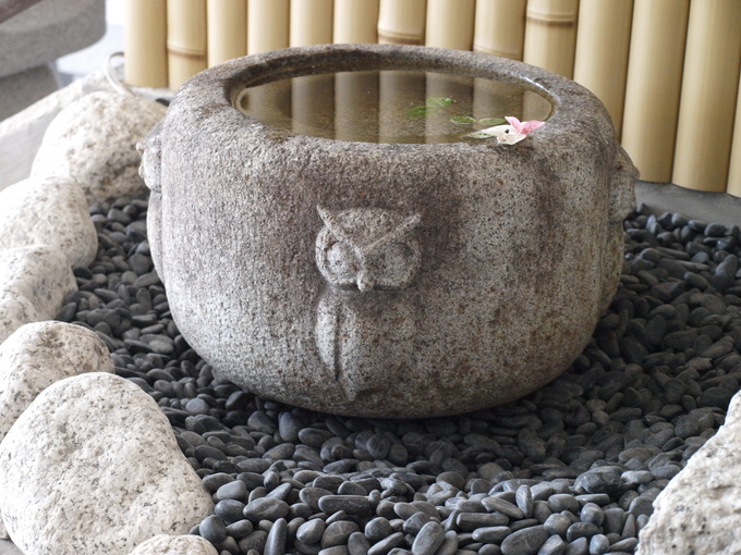 水鉢(つくばい)の水穴