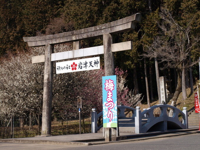 岩津天満宮梅まつり