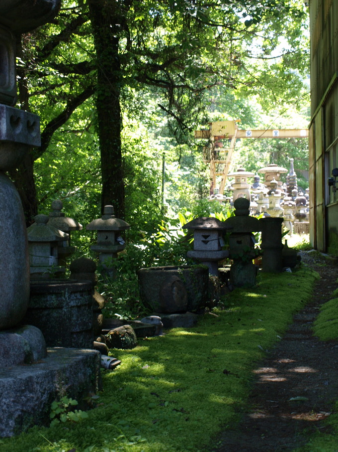 石に苔を生やす|条件と環境