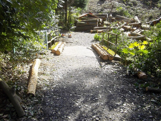 犬山市大縣神社境内整備中