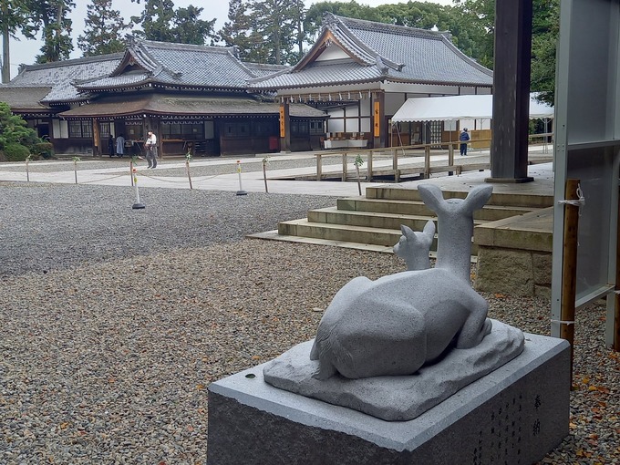親子なで鹿｜砥鹿神社（愛知県豊川市） (5)
