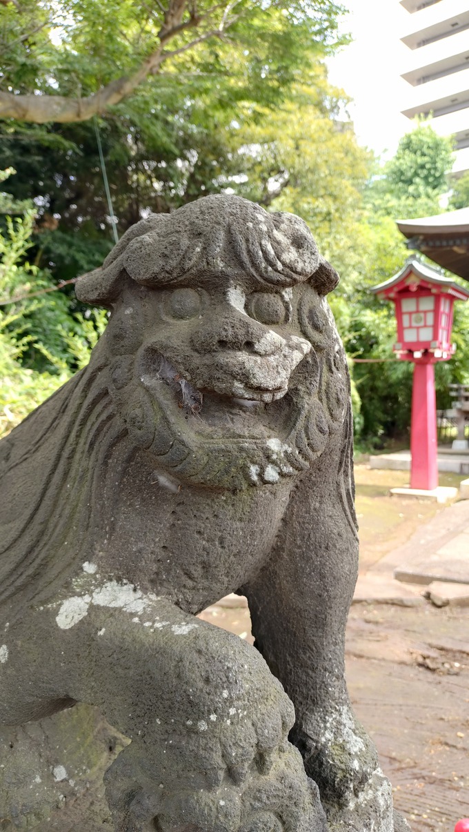 狛犬|江古田氷川神社(東京都中野区)