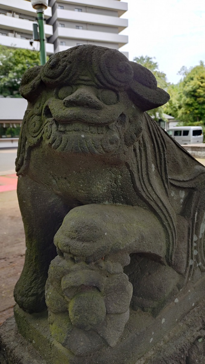 狛犬|江古田氷川神社(東京都中野区)