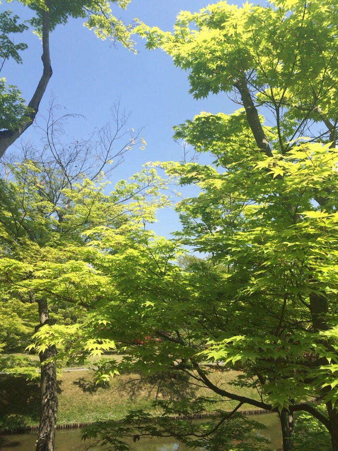 桂離宮