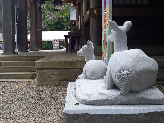 親子なで鹿｜砥鹿神社（愛知県豊川市） (3)
