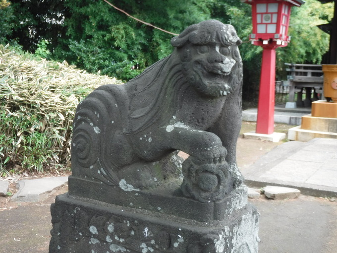 狛犬|江古田氷川神社(東京都中野区)