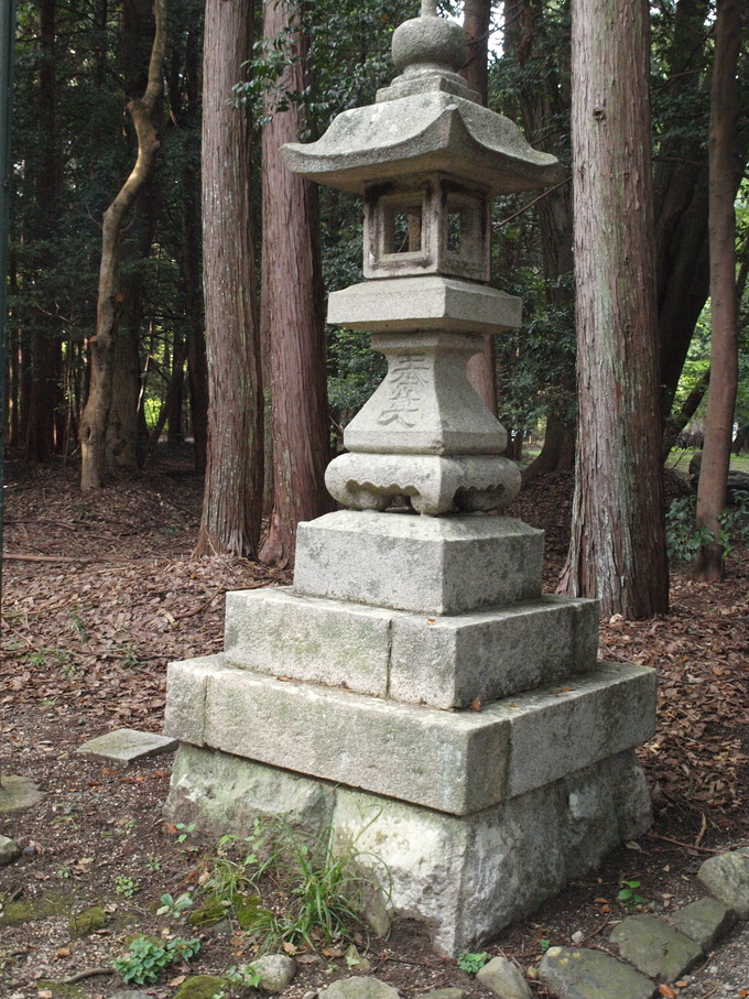 夏休み自由研究|神社(お寺)の石調べ
