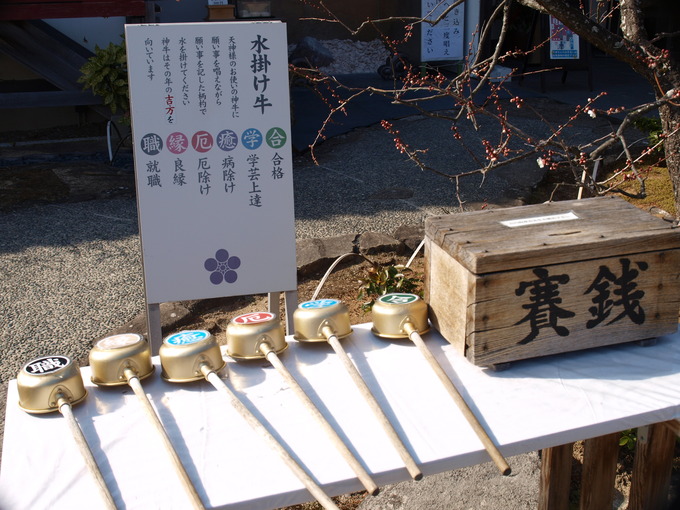 水掛け牛|岩津天満宮