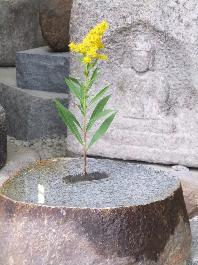 小さなバードバス石と草花のディスプレイ
