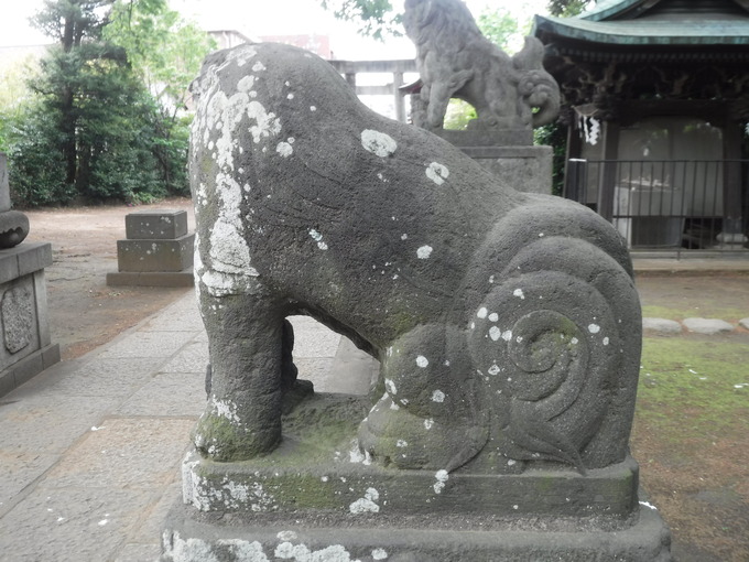 狛犬|江古田氷川神社(東京都中野区)