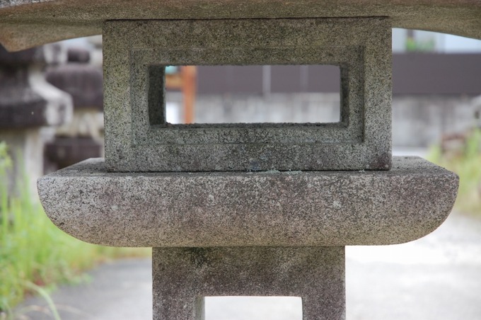 勧修寺(岡崎産) (8)