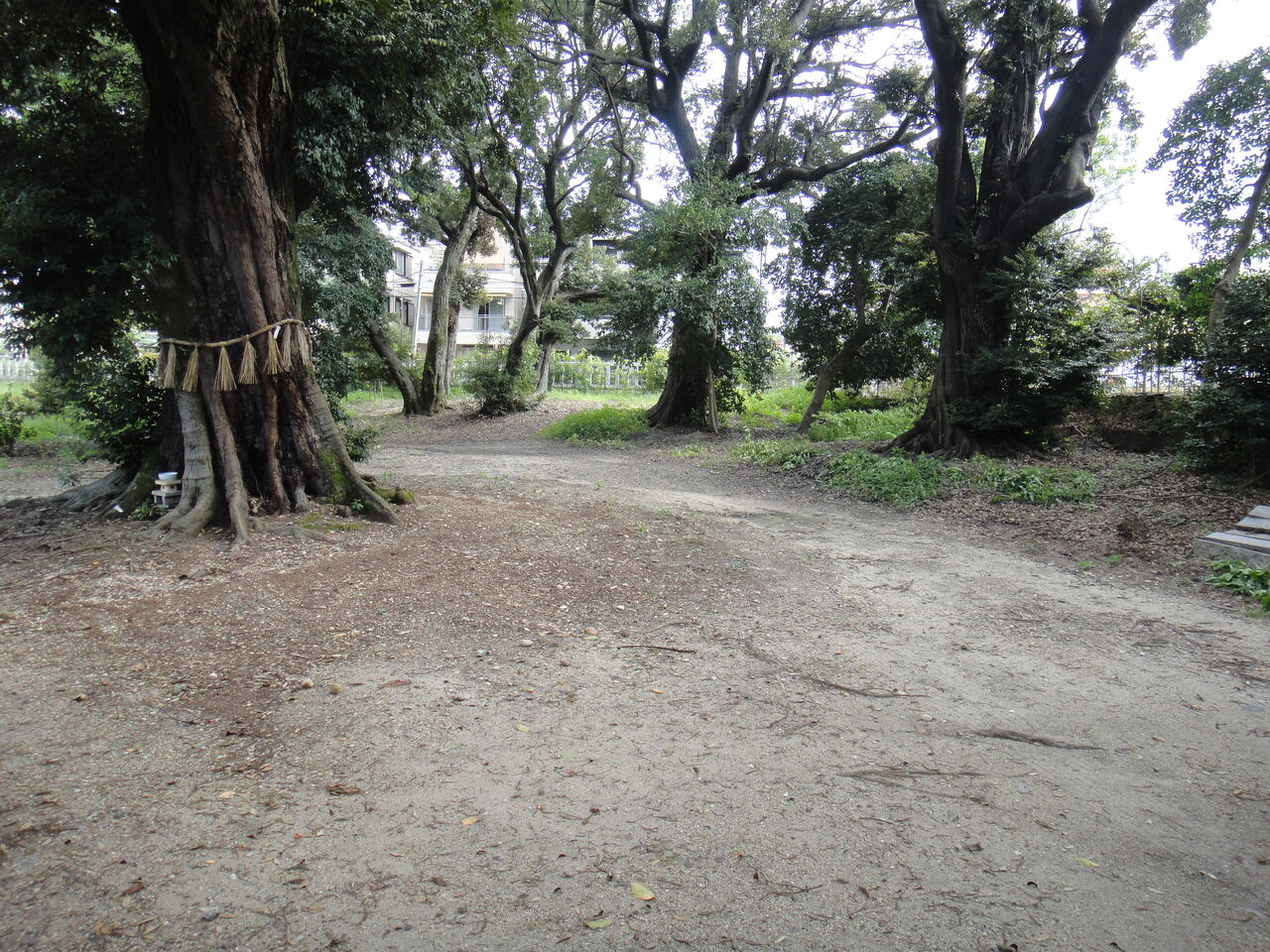 ご神木を囲う石の玉垣 京都旦椋神社 石灯篭 とうろう 庭園造園 神社寺院用石製品 墓石の老舗石屋 杉田石材店