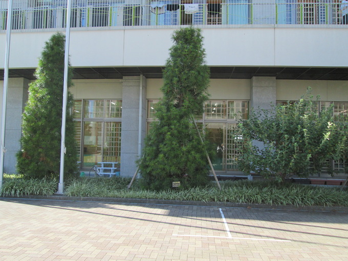 石のモニュメント記念碑設置場所